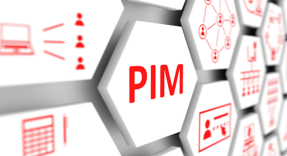 Einführung eines Elektronischen Produktkatalogs (PIM) im Rahmen der Digitalisierung
